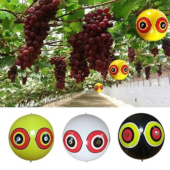 SCARE-EYE® BALLOONS