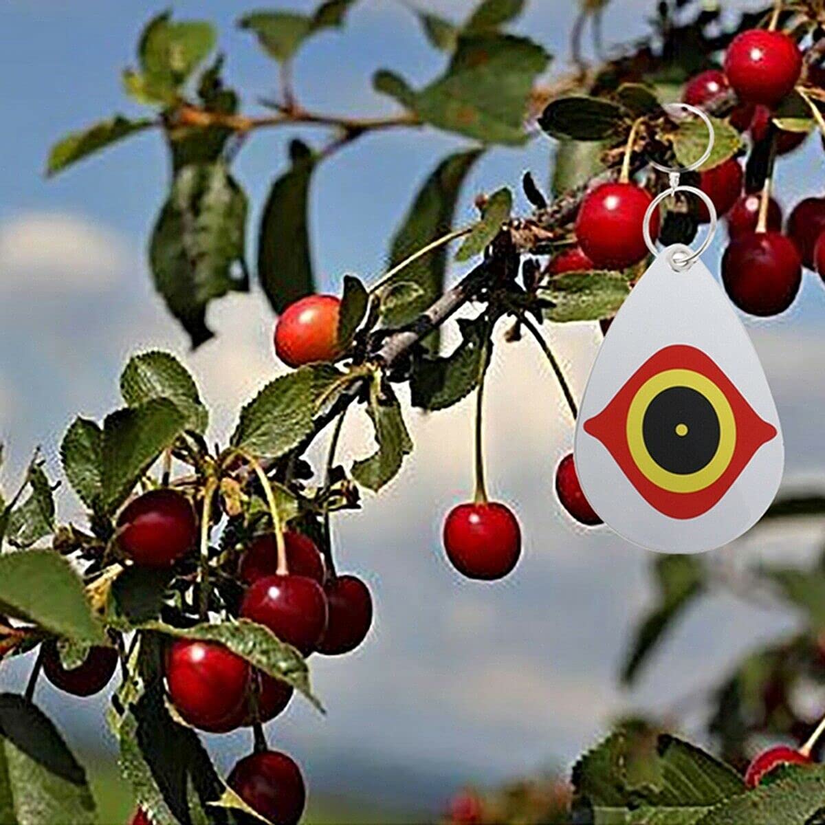 Away Bird Eye Decoy to Bird Scare Device With Hanging Outdoors Reflective Scarer