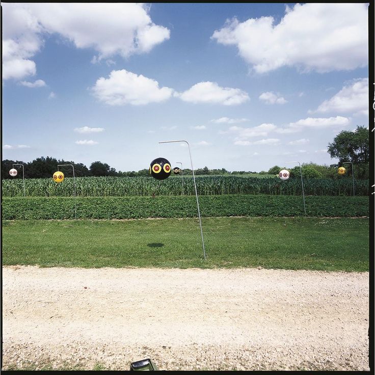 SCARE-EYE® BALLOONS