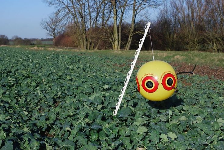 SCARE-EYE® BALLOONS