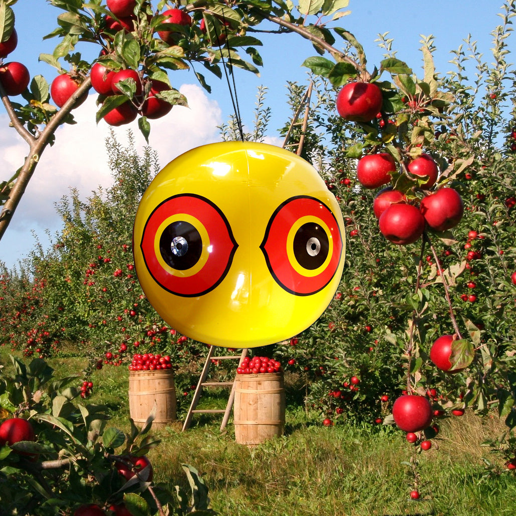 SCARE-EYE® BALLOONS