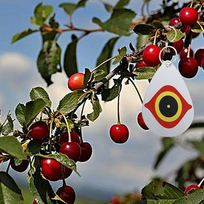 Away Bird Eye Decoy to Bird Scare Device With Hanging Outdoors Reflective Scarer