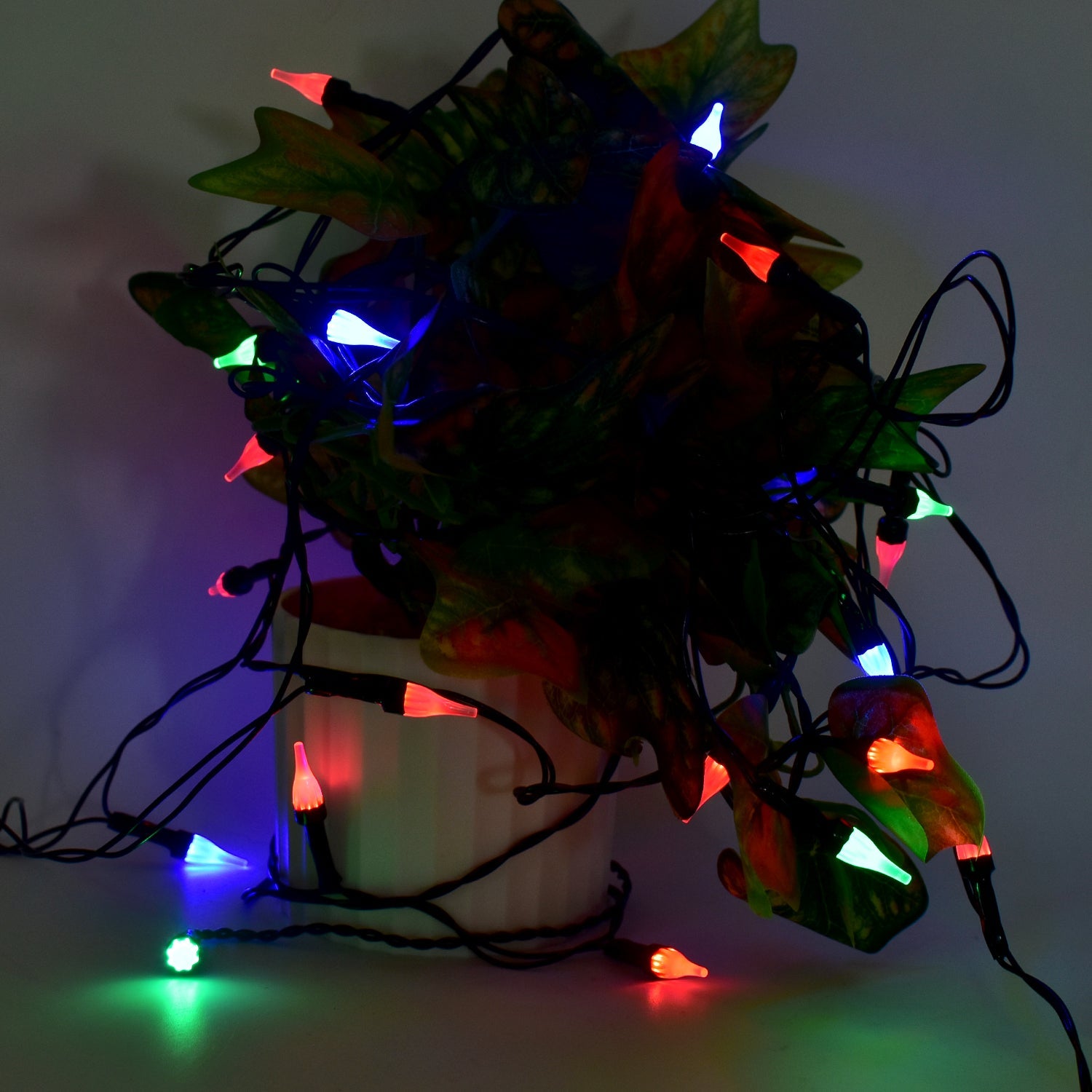 Multi-Color Decorative LED String Light