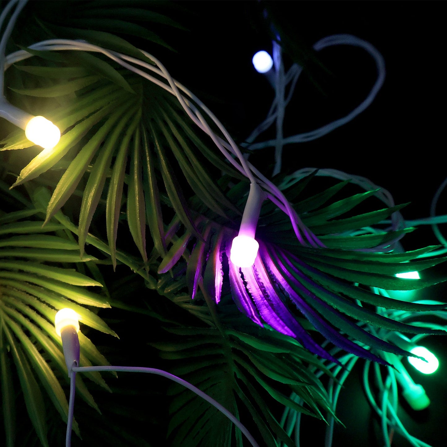 Multi-Color LED Fairy String Light
