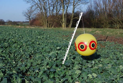 SCARE-EYE® BALLOONS