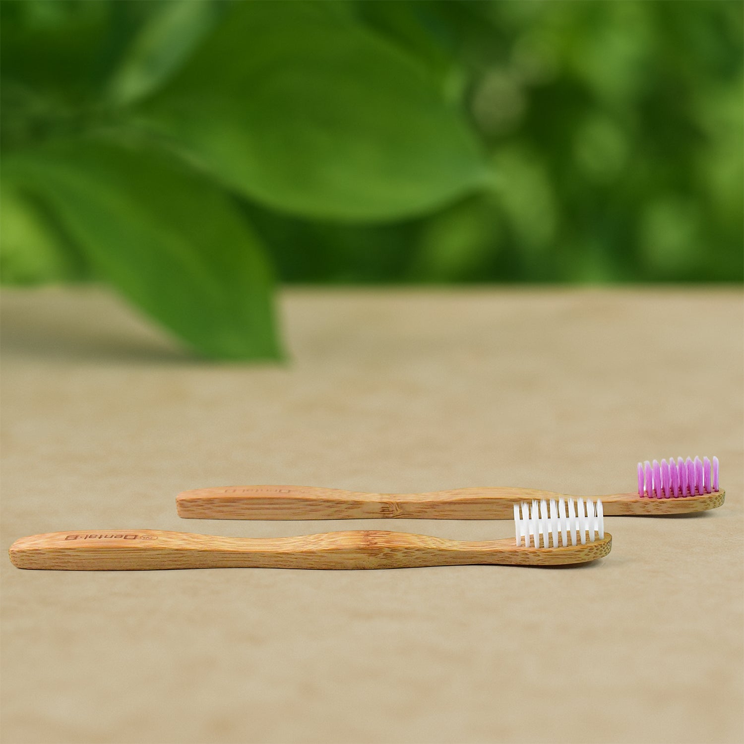 Sustainable Bamboo Toothbrush